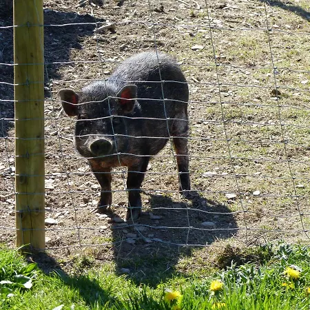 Xavers Ranch Meschede