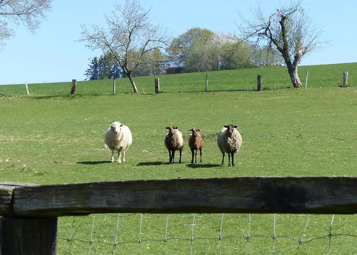 Xavers Ranch Appartamento