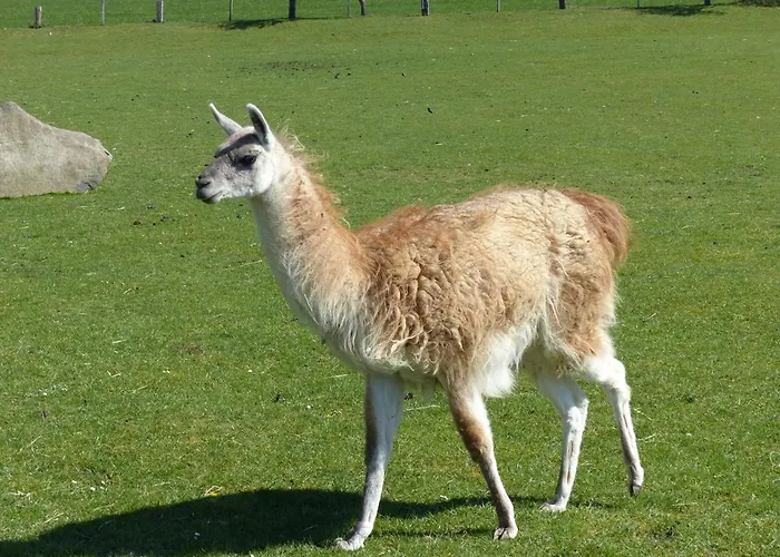 Xavers Ranch * Meschede