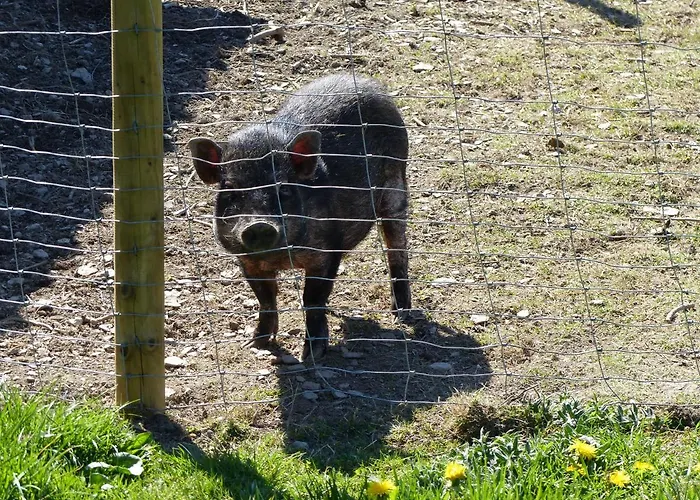 Xavers Ranch Meschede